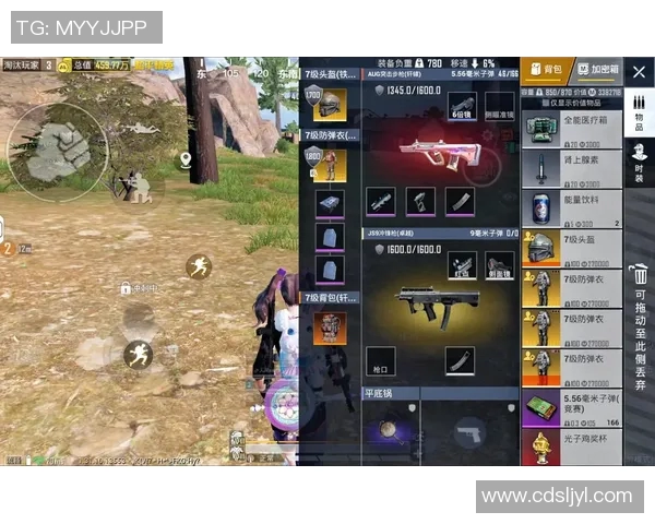 和平精英巨献揭秘BLG战队灵活战术与团队配合的奥秘 和平精英巨献揭秘BLG战队灵活战术与团队配合的奥秘